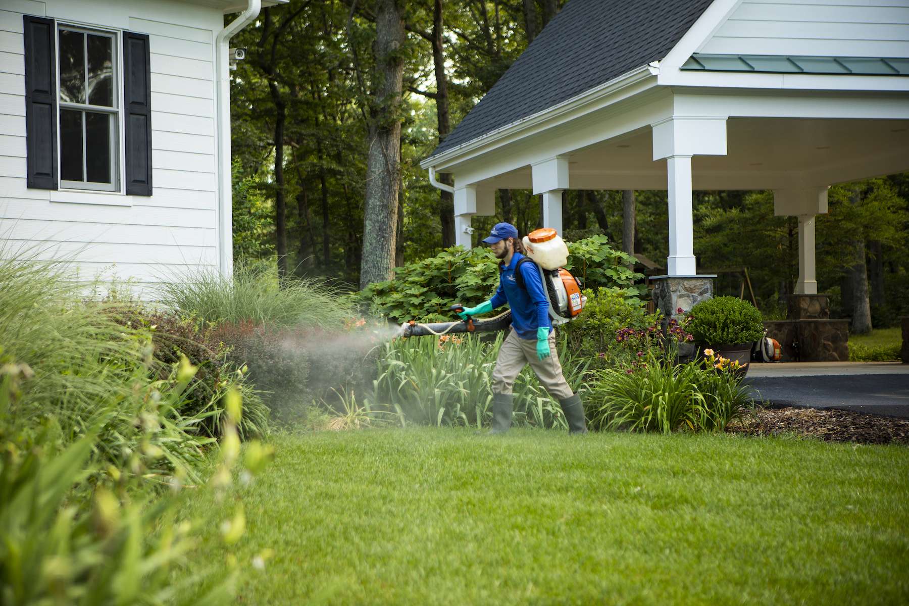 Image showcasing Pest Control Services Aldie, VA | Ticks, Mosquitoes, Fleas & Gnats ...
